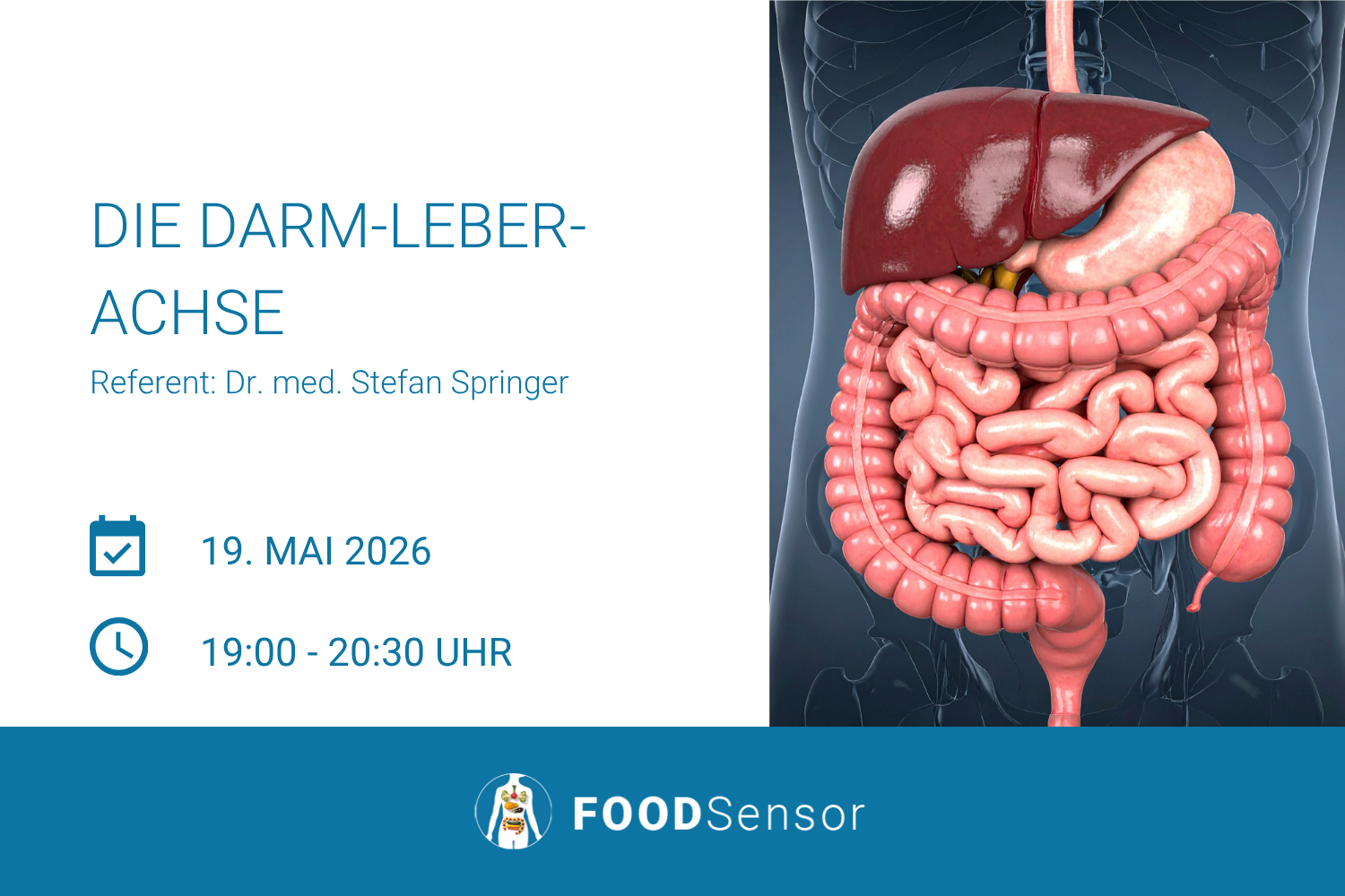 Darm-Leber-Achse Vortrag